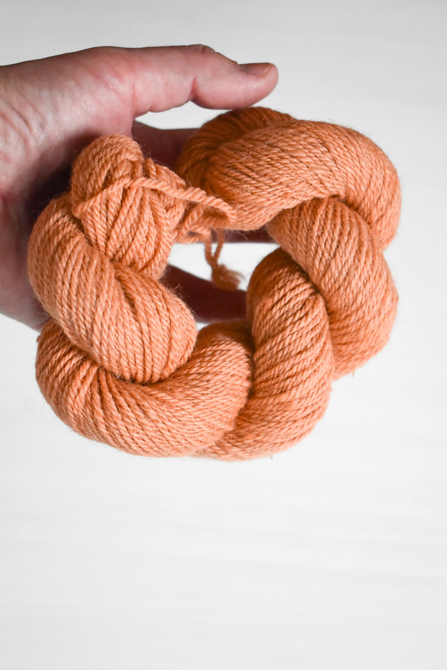 Hand holding a skein of peach-colored cormo wool and baby alpaca yarn.