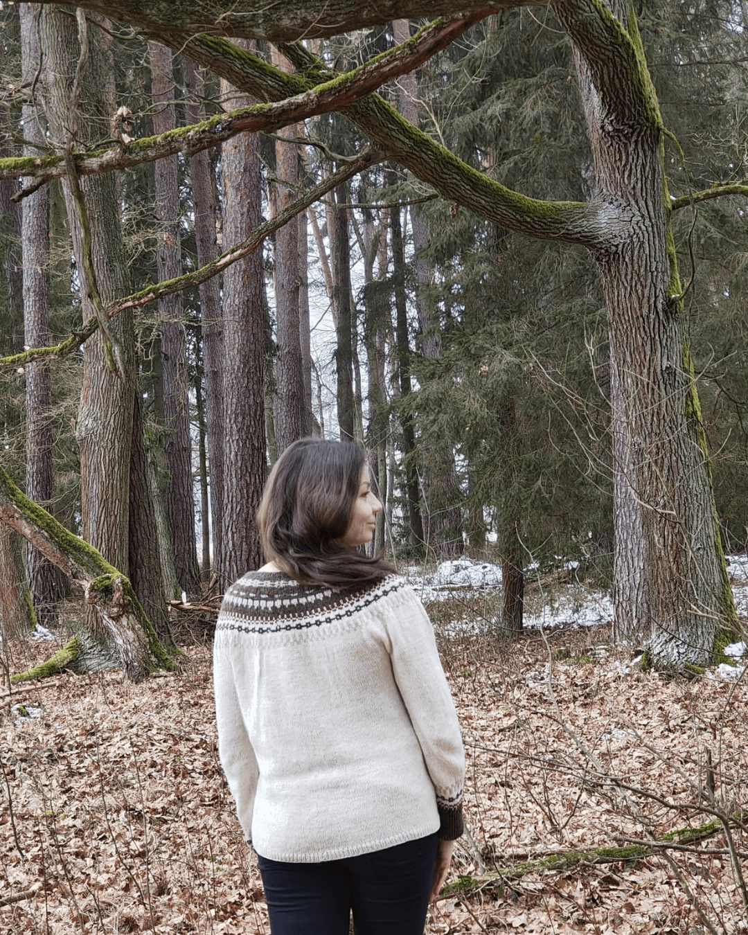Boreas Sweater Knitting Pattern