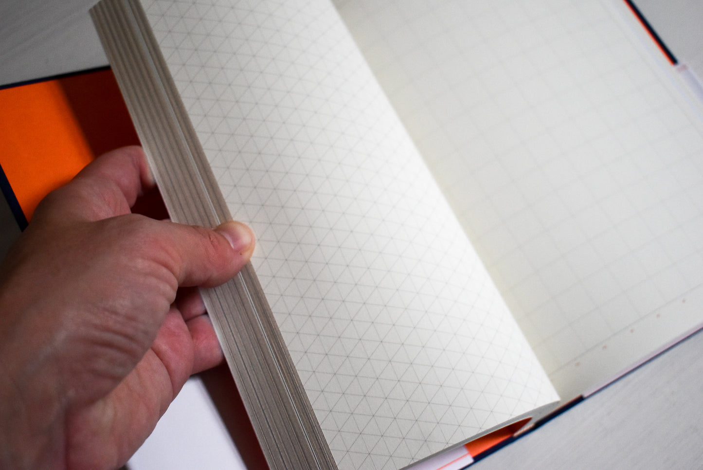 Various grid patterns in the Grids and Guides notebook.