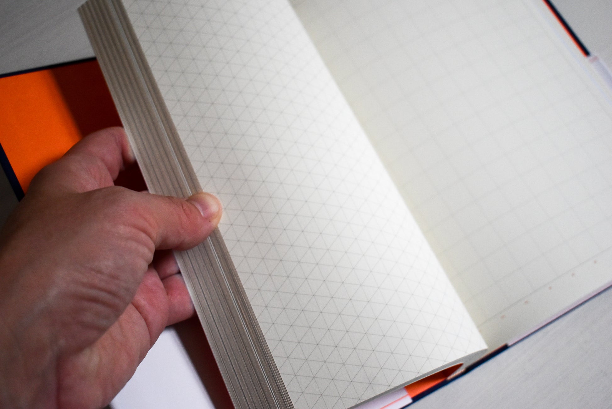 Various grid patterns in the Grids and Guides notebook.
