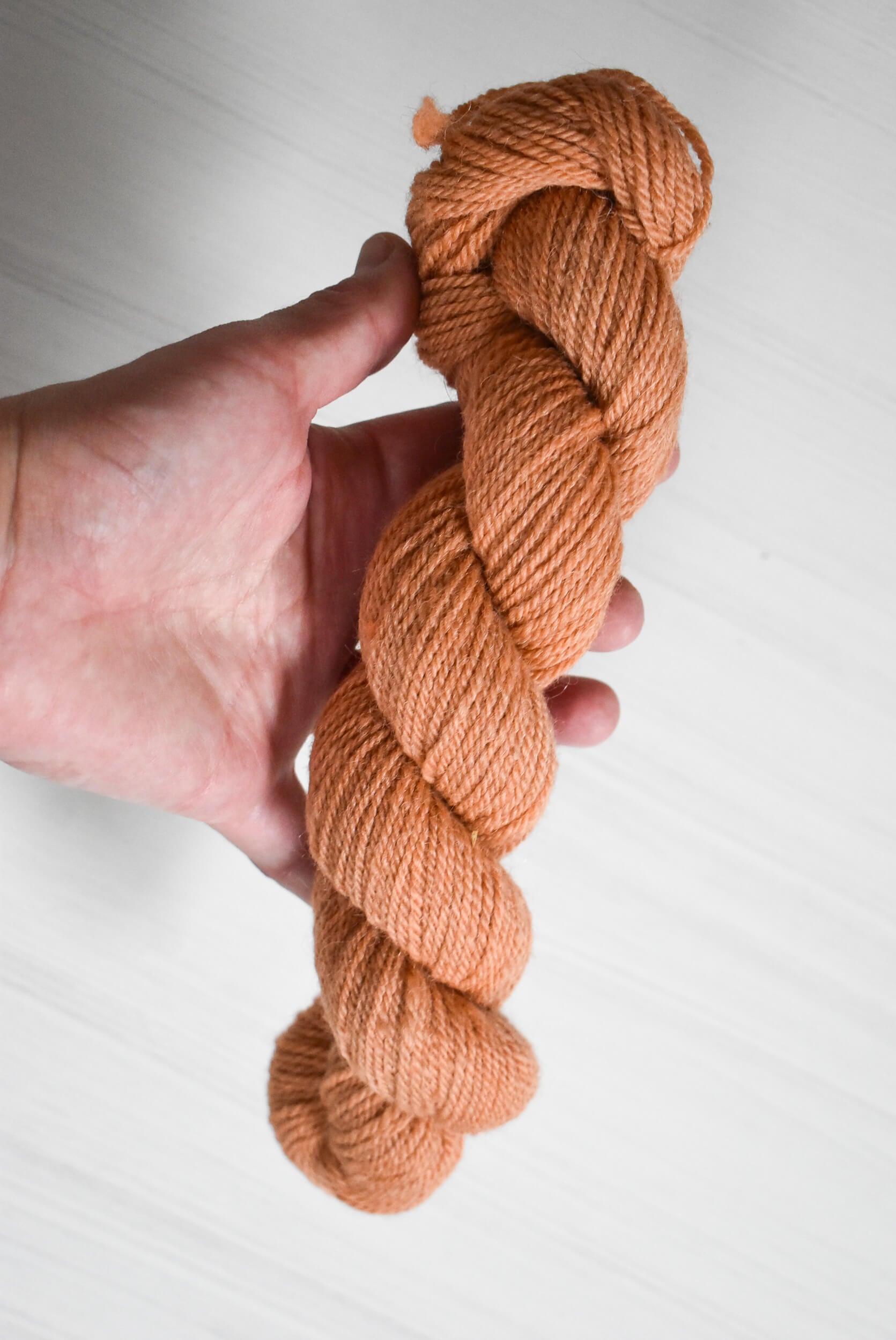 Skein of Nest Creative Works DK weight yarn held in a hand.