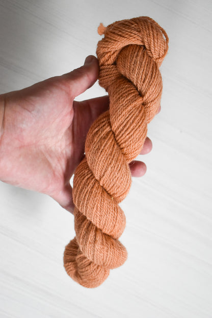 Skein of Nest Creative Works DK weight yarn held in a hand.