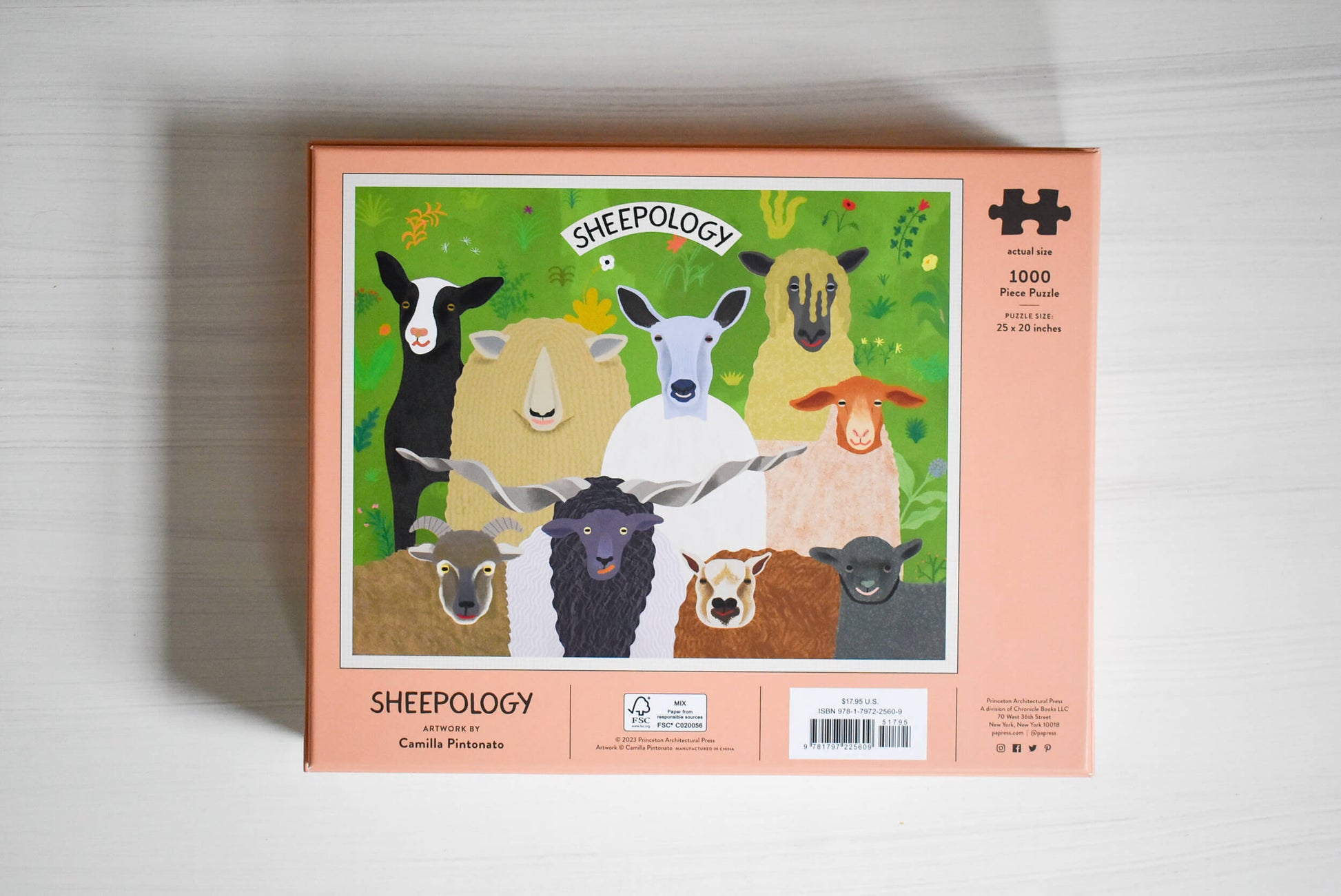 Sheepology puzzle for knitters.